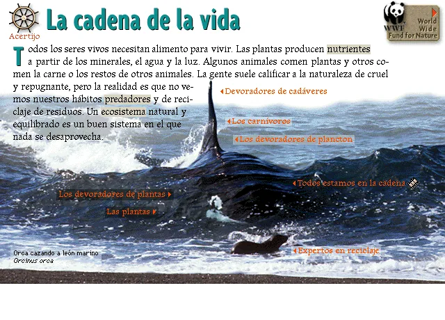 La cadena de la vida