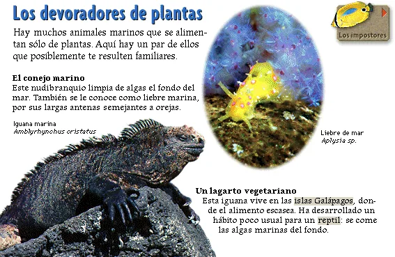 Los devoradores de plantas