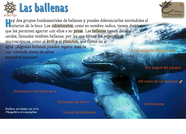 Las ballenas