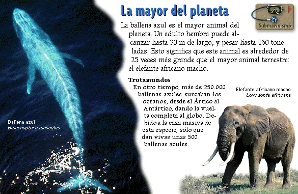 La mayor del planeta