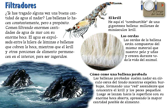 Filtradores