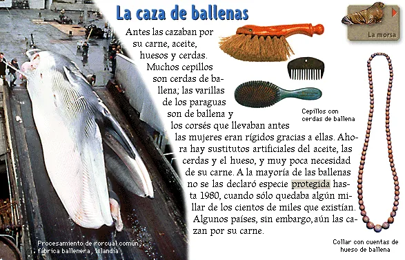 La caza de ballenas