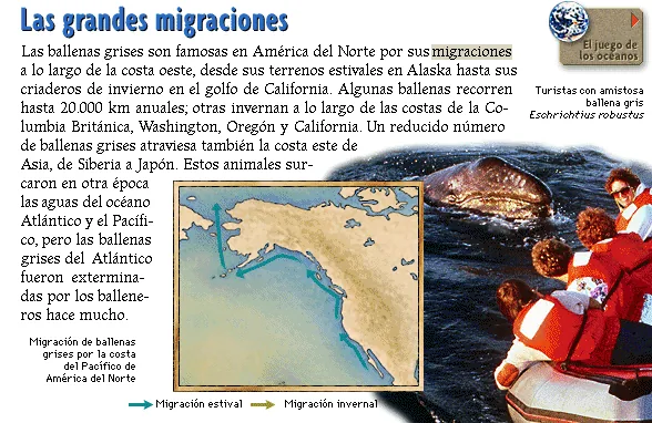 Las grandes migraciones
