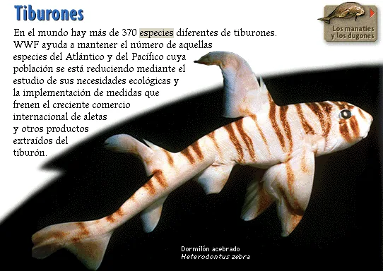 Tiburones