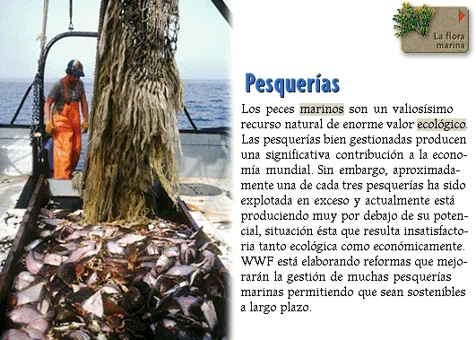 Pesquerías