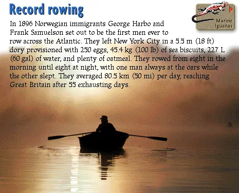 Record rowing
