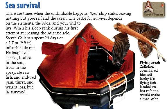 Sea survival