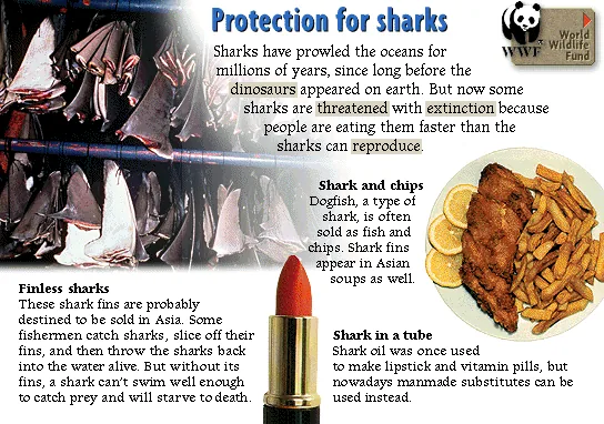 Protection for sharks
