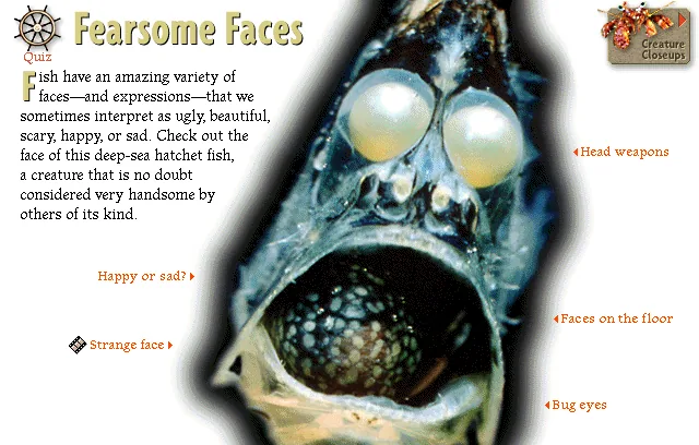 Fearsome Faces