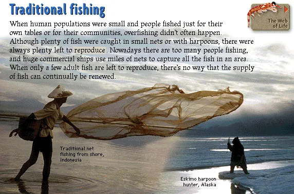 Traditional fishing
