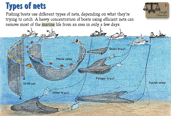 Types of nets