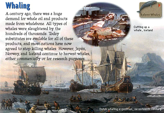 Whaling