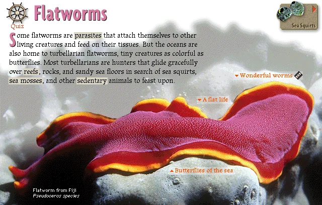 Flatworms