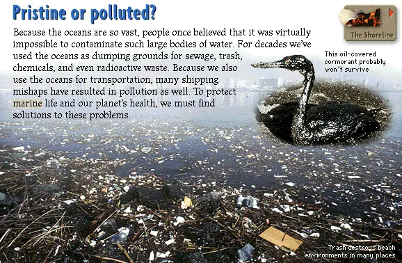 Pristine or polluted?