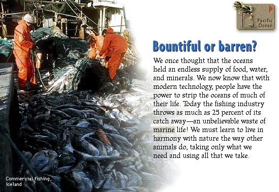 Bountiful or barren?