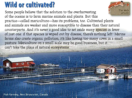 Wild or cultivated?