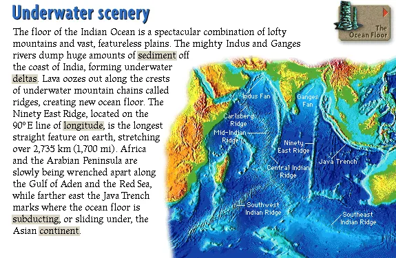 Underwater scenery