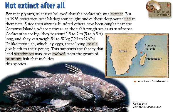 Not extinct after all