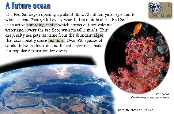 A future ocean