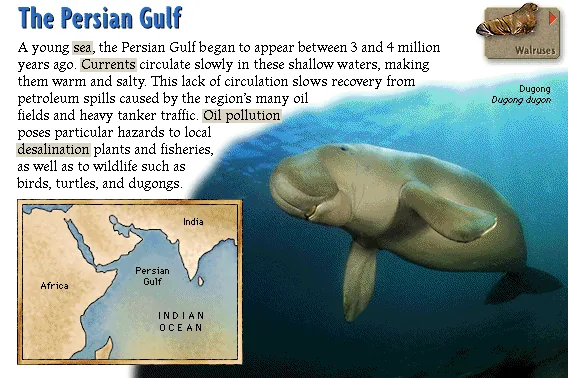 The Persian Gulf