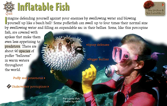 Inflatable Fish