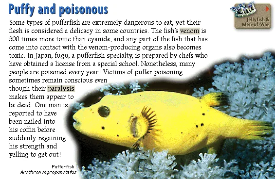 Puffy and poisonous