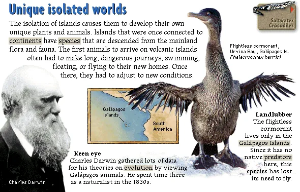 Unique isolated worlds