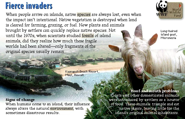Fierce invaders