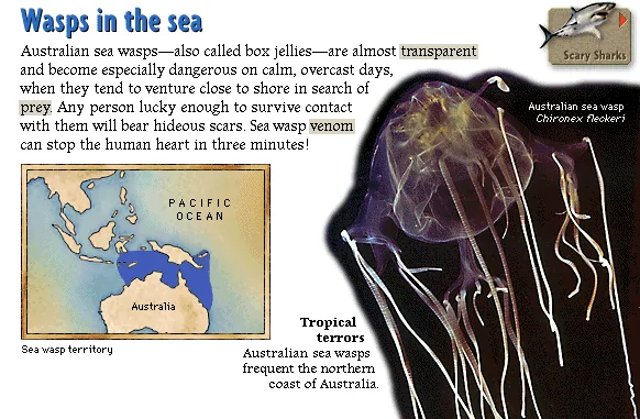 Wasps in the sea