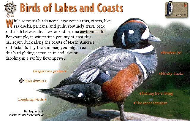 Birds of Lakes and Coasts