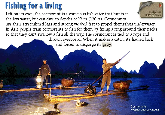 Fishing for a living