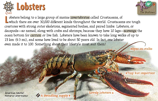 Lobsters