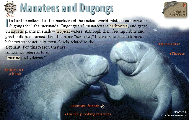Manatees and Dugongs