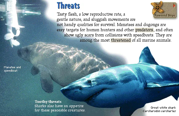 Threats
