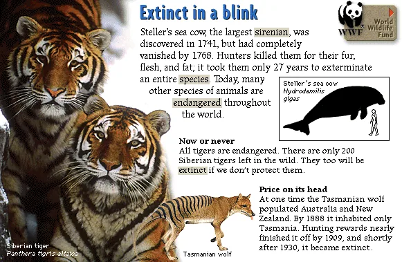 Extinct in a blink