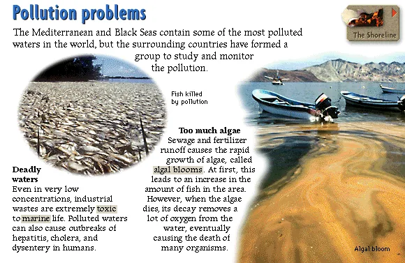Pollution problems