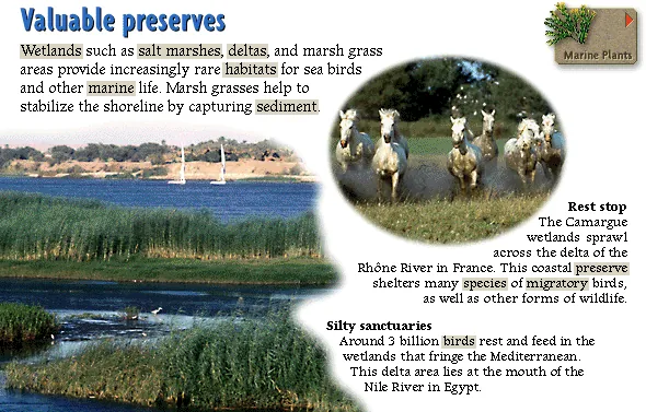 Valuable preserves