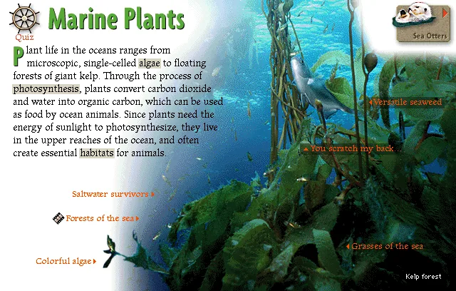 Marine Plants