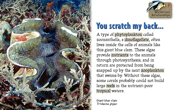 You scratch my back...