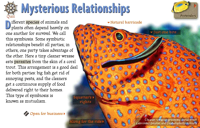 Mysterious Relationships