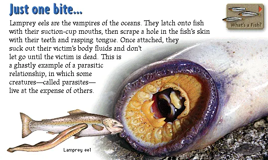 Just one bite...