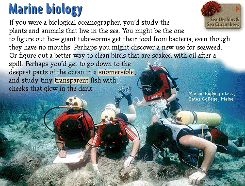 Marine biology