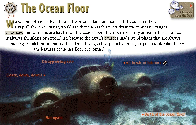 The Ocean Floor