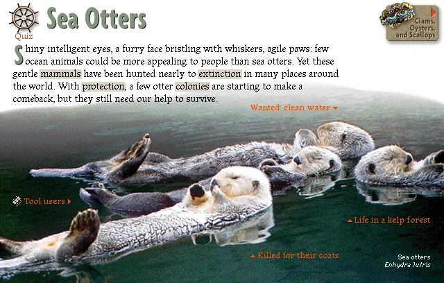 Sea Otters