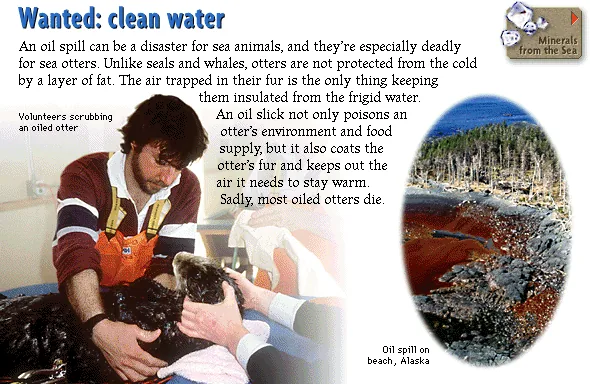 Wanted: clean water