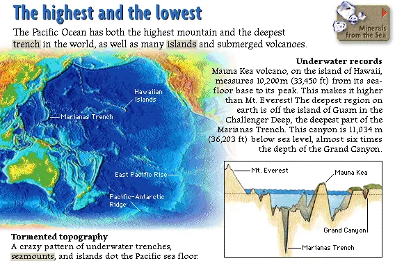 The highest and the lowest