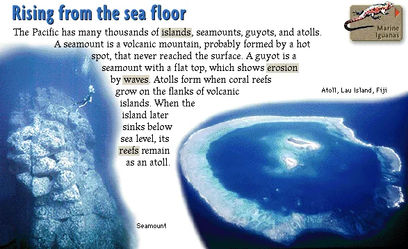 Rising from the sea floor