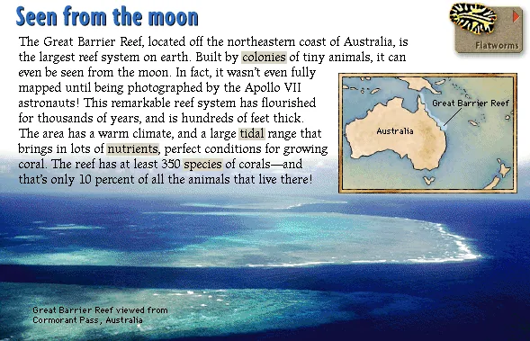 Seen from the moon