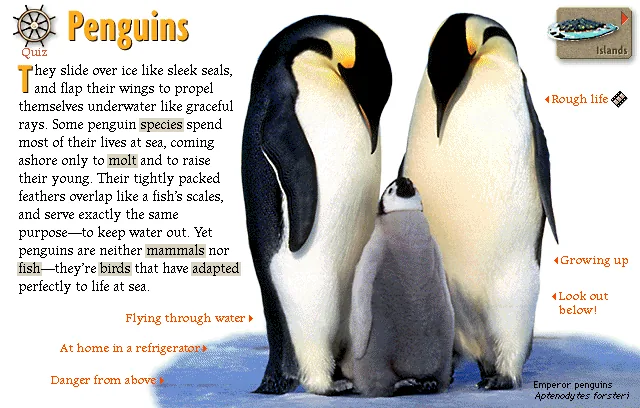 Penguins