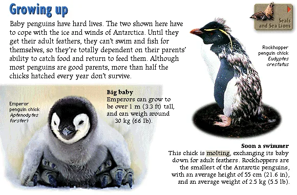 Growing up